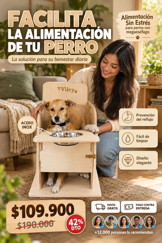 Bailey Silla para perros – Silla de alimentación ajustable de madera para perros con bandeja